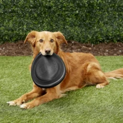 KONG Extreme Flyer Dog Toy 10 KONG Extreme Flyer Dog Toy -KONG Toys Shop 59199 PT2. SY630 V1605334012