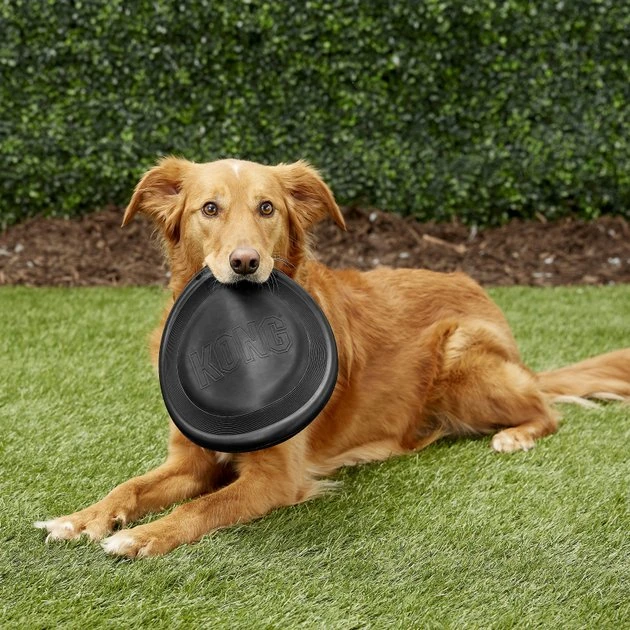 KONG Extreme Flyer Dog Toy 5 KONG Extreme Flyer Dog Toy - Image 3