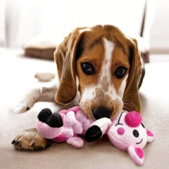 KONG Pudge Braidz Pig 9 KONG Pudge Braidz Pig -KONG Toys Shop 59208 PT3. SY630 V1531424283