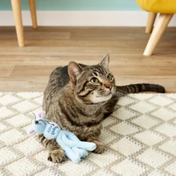 KONG Wubba Cat Friends Mouse Cat Toy, Color Varies 13 KONG Wubba Cat Friends Mouse Cat Toy, Color Varies -KONG Toys Shop 59315 PT5. SY630 V1528231520