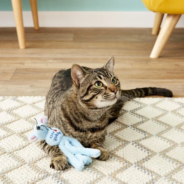 KONG Wubba Cat Friends Mouse Cat Toy, Color Varies 7 KONG Wubba Cat Friends Mouse Cat Toy, Color Varies - Image 5