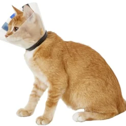 KONG EZ Clear Collar for Dogs & Cats