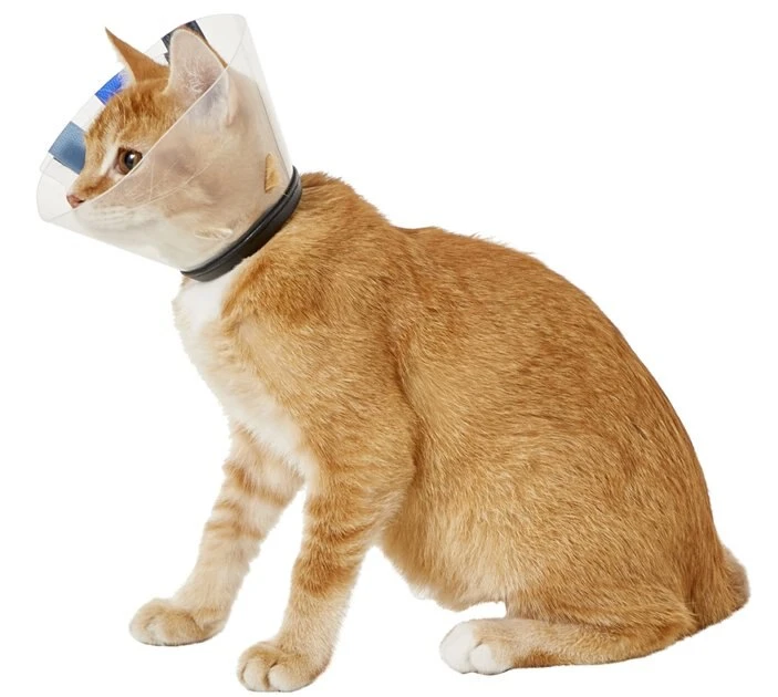 KONG EZ Clear Collar for Dogs & Cats 3 KONG EZ Clear Collar for Dogs & Cats