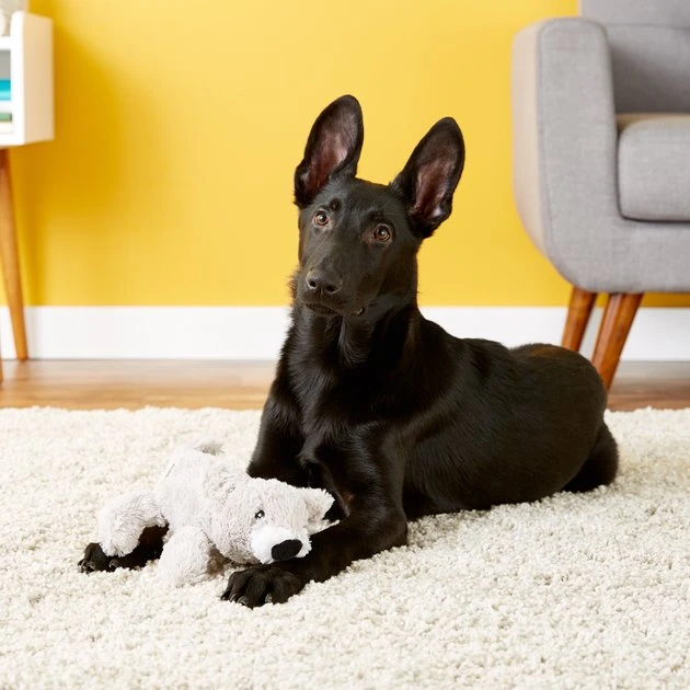 KONG Cozie Buster the Koala Dog Toy 5 KONG Cozie Buster the Koala Dog Toy - Image 3