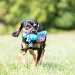 KONG Cozie King the Purple Haired Lion Dog Toy 8 KONG Cozie King the Purple Haired Lion Dog Toy -KONG Toys Shop 62768 PT2. SY630 V1631777175