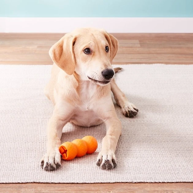 KONG Genius Mike Dog Toy, Color Varies 4 KONG Genius Mike Dog Toy, Color Varies - Image 2