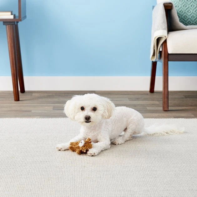 KONG Plush Teddy Bear Dog Toy 4 KONG Plush Teddy Bear Dog Toy - Image 2