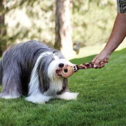 KONG Wubba Floppy Ears Dog Toy 14 KONG Wubba Floppy Ears Dog Toy -KONG Toys Shop 62913 PT5. SY630 V1476296289