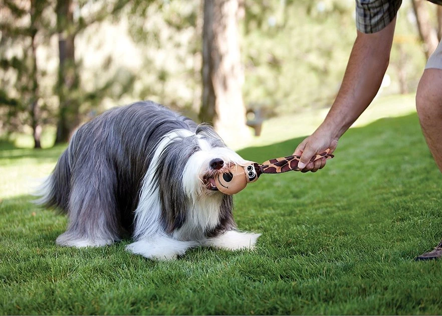 KONG Wubba Floppy Ears Dog Toy 8 KONG Wubba Floppy Ears Dog Toy - Image 6