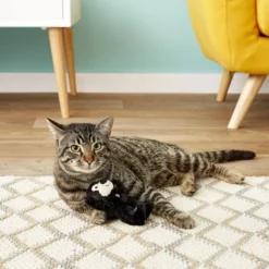 KONG Softies Patchwork Bear Cat Toy, Color Varies 15 KONG Softies Patchwork Bear Cat Toy, Color Varies -KONG Toys Shop 66562 PT6. SY630 V1603149098