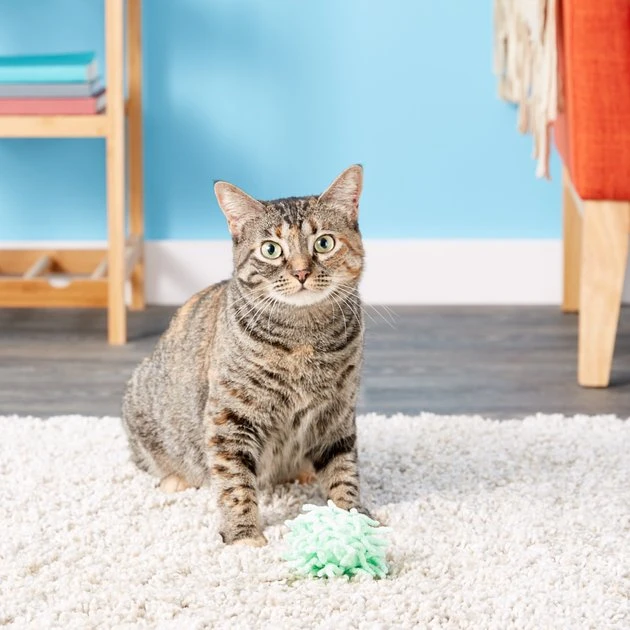 KONG Moppy Ball Cat Toy, Color Varies 8 KONG Moppy Ball Cat Toy, Color Varies - Image 6