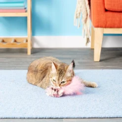 KONG Refillable Field Mouse Catnip Cat Toy 11 KONG Refillable Field Mouse Catnip Cat Toy -KONG Toys Shop 66582 PT5. SY630 V1528231755