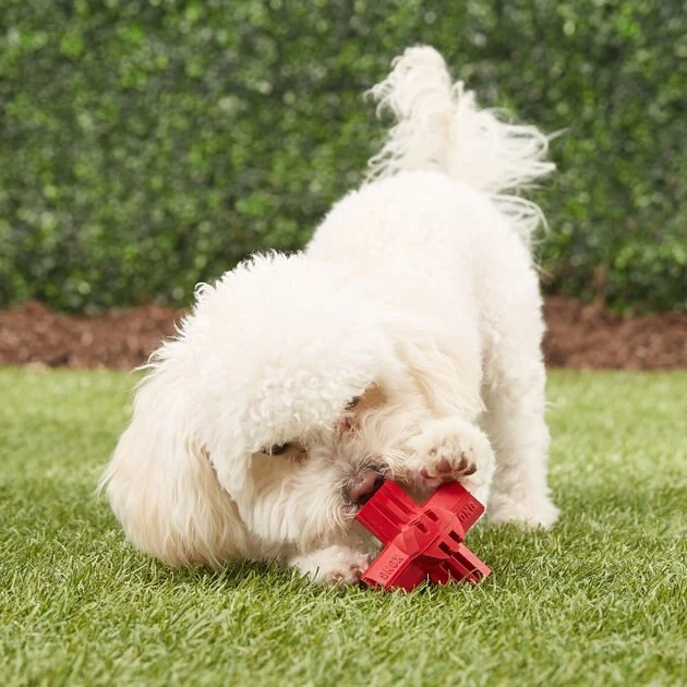 KONG Jump'N Jack Dog Toy 4 KONG Jump'N Jack Dog Toy - Image 2