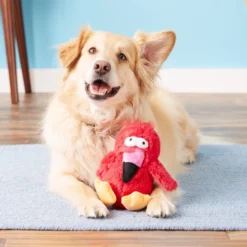 KONG Dodo Bird Dog Toy, Color Varies 16 KONG Dodo Bird Dog Toy, Color Varies -KONG Toys Shop 66608 PT6. SY630 V1603159008