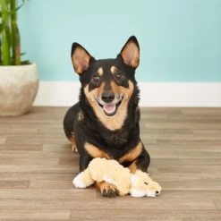 KONG Scrunch Knots Fox Dog Toy 11 KONG Scrunch Knots Fox Dog Toy -KONG Toys Shop 71939 PT3. SY630 V1603150883