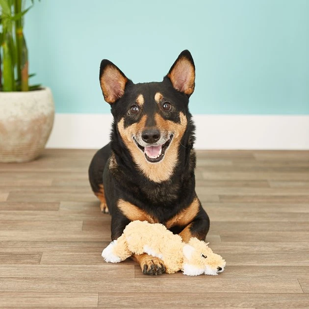 KONG Scrunch Knots Fox Dog Toy 6 KONG Scrunch Knots Fox Dog Toy - Image 4