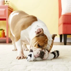 KONG Scrunch Knots Raccoon Dog Toy 13 KONG Scrunch Knots Raccoon Dog Toy -KONG Toys Shop 71942 PT5. SY630 V1603154184