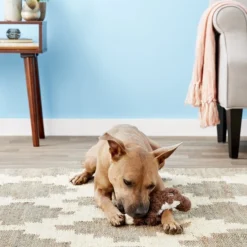 KONG Scrunch Knots Squirrel Dog Toy 12 KONG Scrunch Knots Squirrel Dog Toy -KONG Toys Shop 71945 PT4. SY630 V1603165903