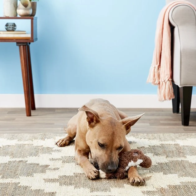 KONG Scrunch Knots Squirrel Dog Toy 7 KONG Scrunch Knots Squirrel Dog Toy - Image 5