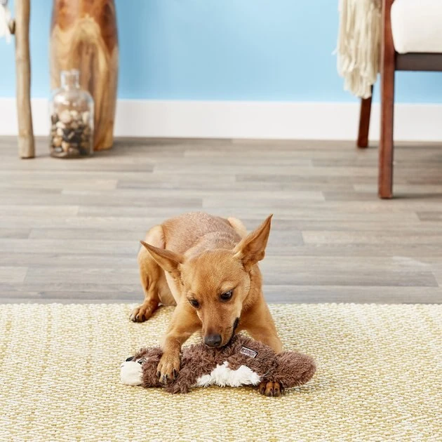 KONG Scrunch Knots Squirrel Dog Toy 8 KONG Scrunch Knots Squirrel Dog Toy - Image 6