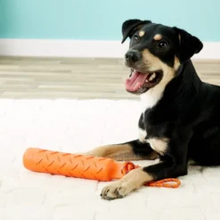 KONG Training Dummy for Dogs 11 KONG Training Dummy for Dogs -KONG Toys Shop 77679 PT8. SY630 V1507035640