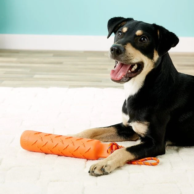 KONG Training Dummy for Dogs 7 KONG Training Dummy for Dogs - Image 5