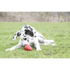 KONG Stuff'N Sweet Potato Spread Dog Treat 10 KONG Stuff'N Sweet Potato Spread Dog Treat -KONG Toys Shop 77693 PT3. SY630 V1605321410