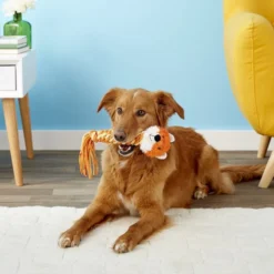 KONG Winder Dog Toy 10 KONG Winder Dog Toy -KONG Toys Shop 81984 PT2. SY630 V1605345710