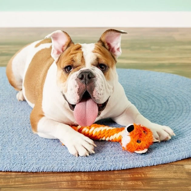 KONG Winder Dog Toy 6 KONG Winder Dog Toy - Image 4