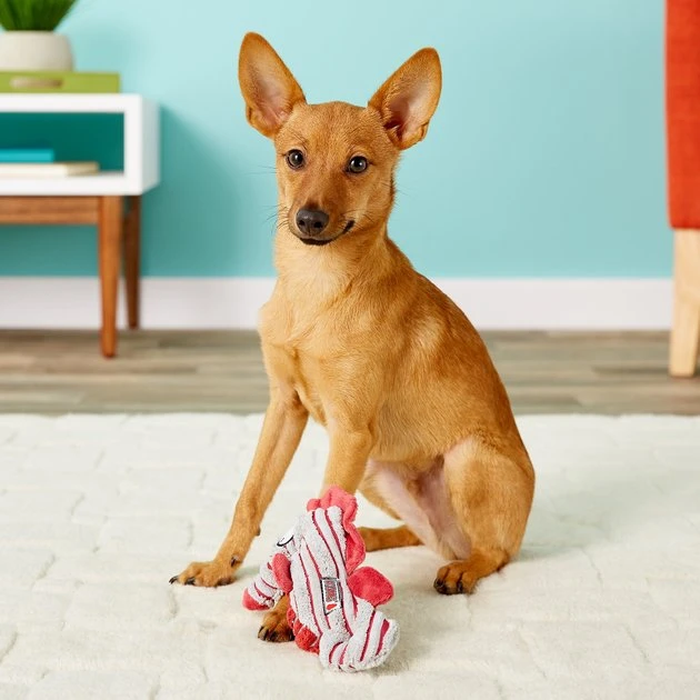 KONG CuteSeas Seahorse Dog Toy 5 KONG CuteSeas Seahorse Dog Toy - Image 3