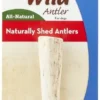 KONG Wild Whole Elk Antler Dog Chew 1 KONG Wild Whole Elk Antler Dog Chew -KONG Toys Shop 88731 MAIN. SY630 V1551371520