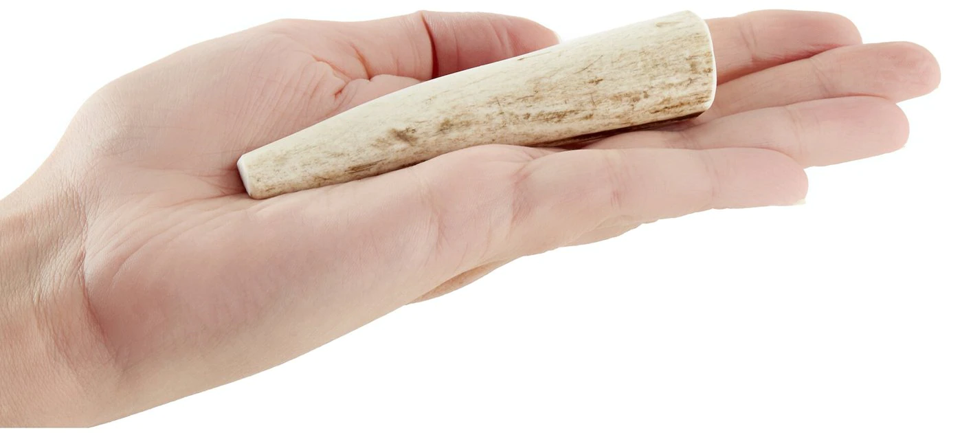 KONG Wild Whole Elk Antler Dog Chew 6 KONG Wild Whole Elk Antler Dog Chew - Image 4