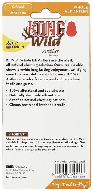KONG Wild Whole Elk Antler Dog Chew 9 KONG Wild Whole Elk Antler Dog Chew - Image 7