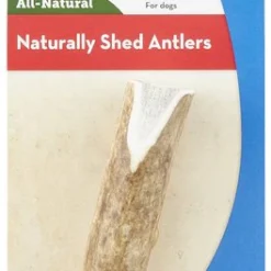 KONG Wild Whole Elk Antler Dog Chew