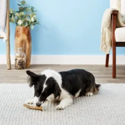 KONG Wild Whole Elk Antler Dog Chew 11 KONG Wild Whole Elk Antler Dog Chew -KONG Toys Shop 88732 PT4. SY630 V1551371562