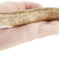 KONG Wild Whole Elk Antler Dog Chew 12 KONG Wild Whole Elk Antler Dog Chew -KONG Toys Shop 88732 PT5. SY630 V1551371569