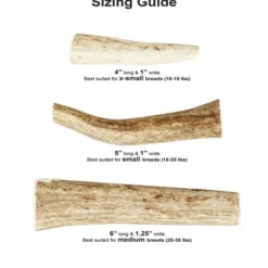 KONG Wild Whole Elk Antler Dog Chew 13 KONG Wild Whole Elk Antler Dog Chew -KONG Toys Shop 88732 PT6. SY630 V1551371575