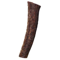 KONG Wild Whole Elk Antler Dog Chew