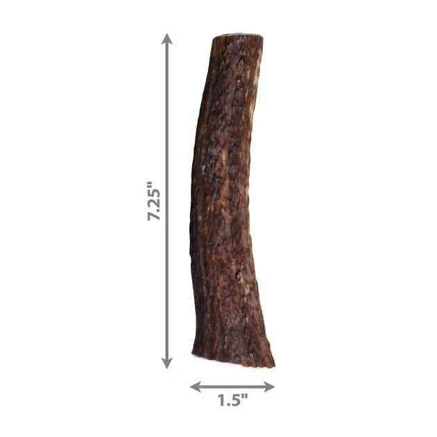 KONG Wild Whole Elk Antler Dog Chew 4 KONG Wild Whole Elk Antler Dog Chew - Image 2