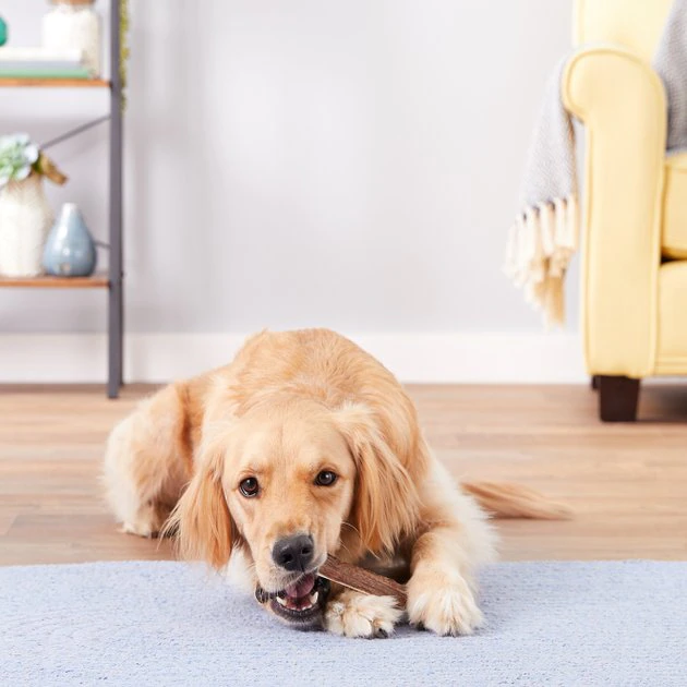 KONG Wild Split Elk Antler Dog Chew 6 KONG Wild Split Elk Antler Dog Chew - Image 4