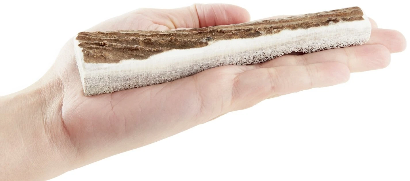 KONG Wild Split Elk Antler Dog Chew 7 KONG Wild Split Elk Antler Dog Chew - Image 5