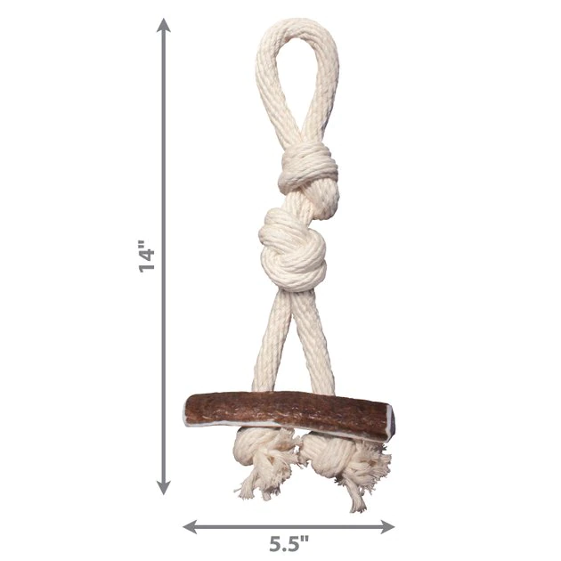KONG Wild Elk Antler Dog Toy 4 KONG Wild Elk Antler Dog Toy - Image 2