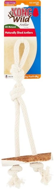 KONG Wild Elk Antler Dog Toy 5 KONG Wild Elk Antler Dog Toy - Image 3