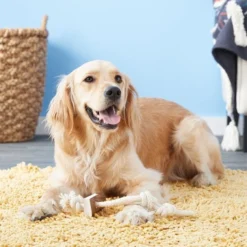 KONG Wild Elk Antler Dog Toy 11 KONG Wild Elk Antler Dog Toy -KONG Toys Shop 88751 PT4. SY630 V1605347222