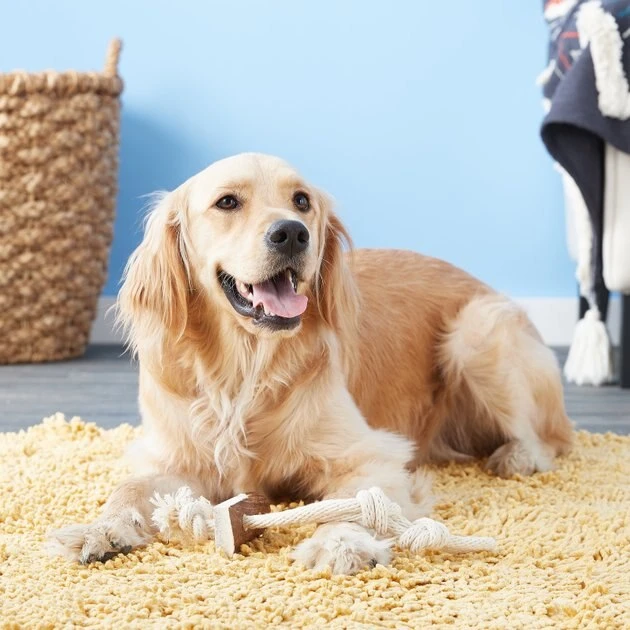 KONG Wild Elk Antler Dog Toy 7 KONG Wild Elk Antler Dog Toy - Image 5