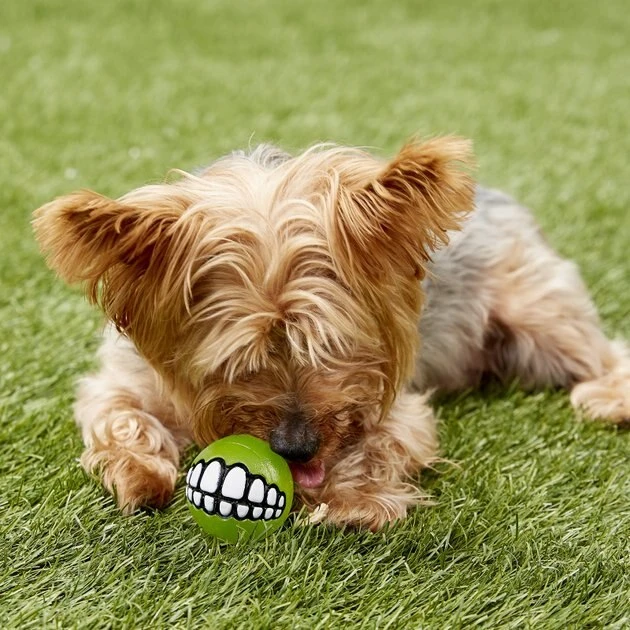 ROGZ by KONG Grinz Treat Ball Dog Toy, Color Varies 5 ROGZ by KONG Grinz Treat Ball Dog Toy, Color Varies - Image 3