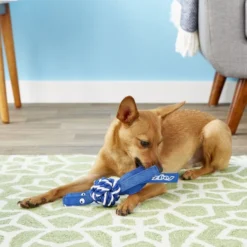 ROGZ by KONG Cowboyz Knot Dog Toy, Color Varies 8 ROGZ by KONG Cowboyz Knot Dog Toy, Color Varies -KONG Toys Shop 89026 PT2. SY630 V1605325911