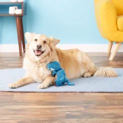 KONG Dynos Plush Dog Toy -KONG Toys Shop 91229 PT2. SY630 V1531432343