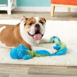 KONG Winders Tails Dog Toy, Color Varies 8 KONG Winders Tails Dog Toy, Color Varies -KONG Toys Shop 91302 PT2. SY630 V1605308809