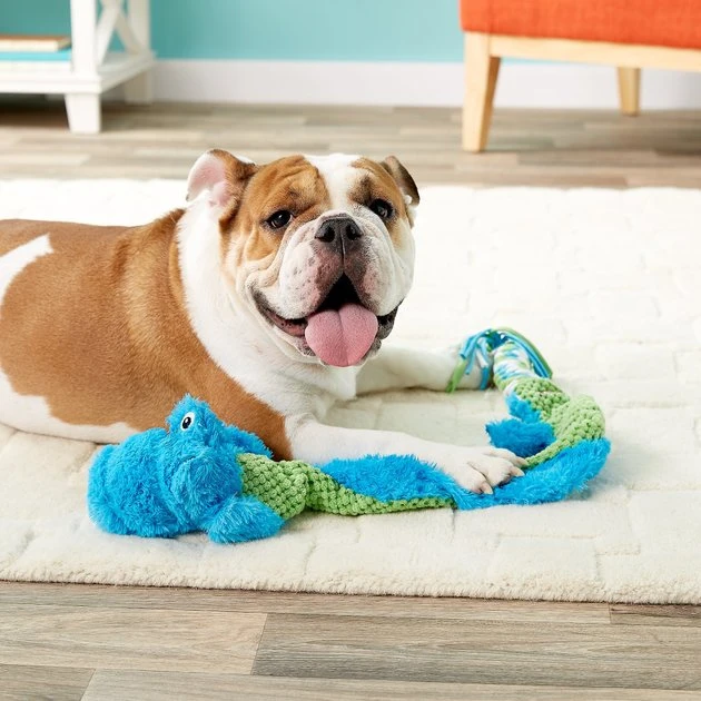 KONG Winders Tails Dog Toy, Color Varies 5 KONG Winders Tails Dog Toy, Color Varies - Image 3